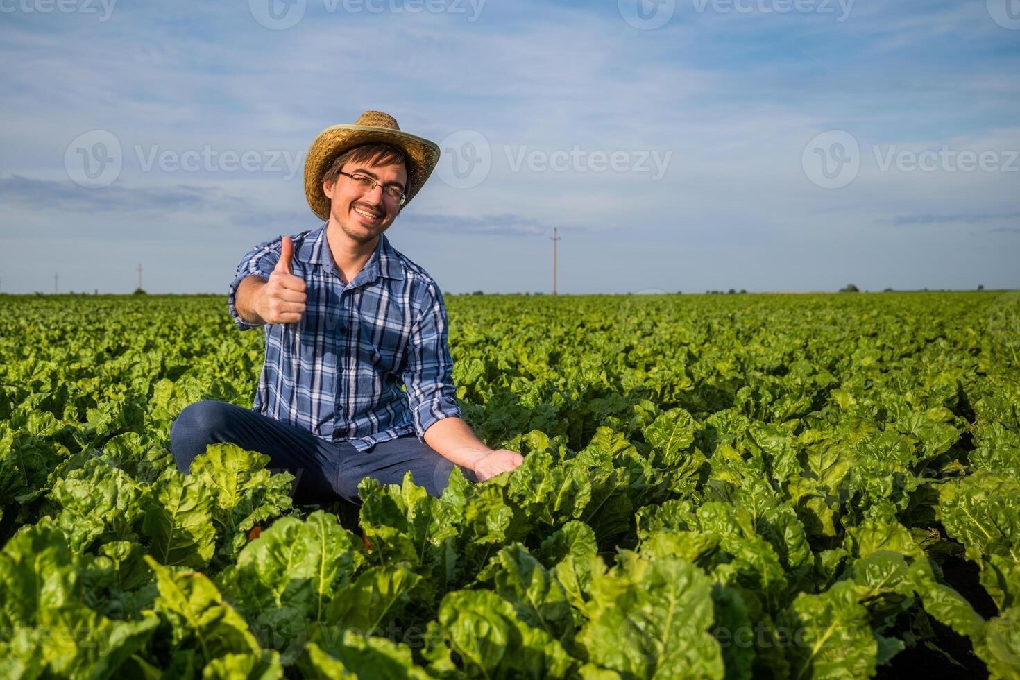 Portrait of happy farmer who is cultivating spinach. He is examining plants. photo