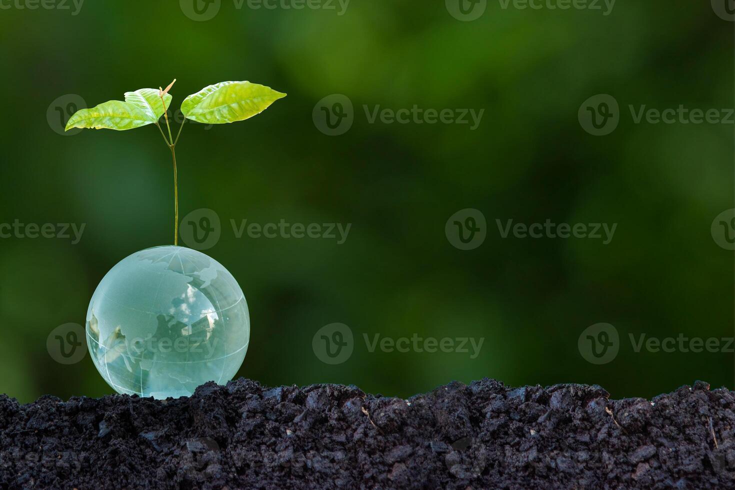 3D illustration Renewable energy concept Earth Day or environmental protection Protect the forests that grow on the ground and help save the planet. photo