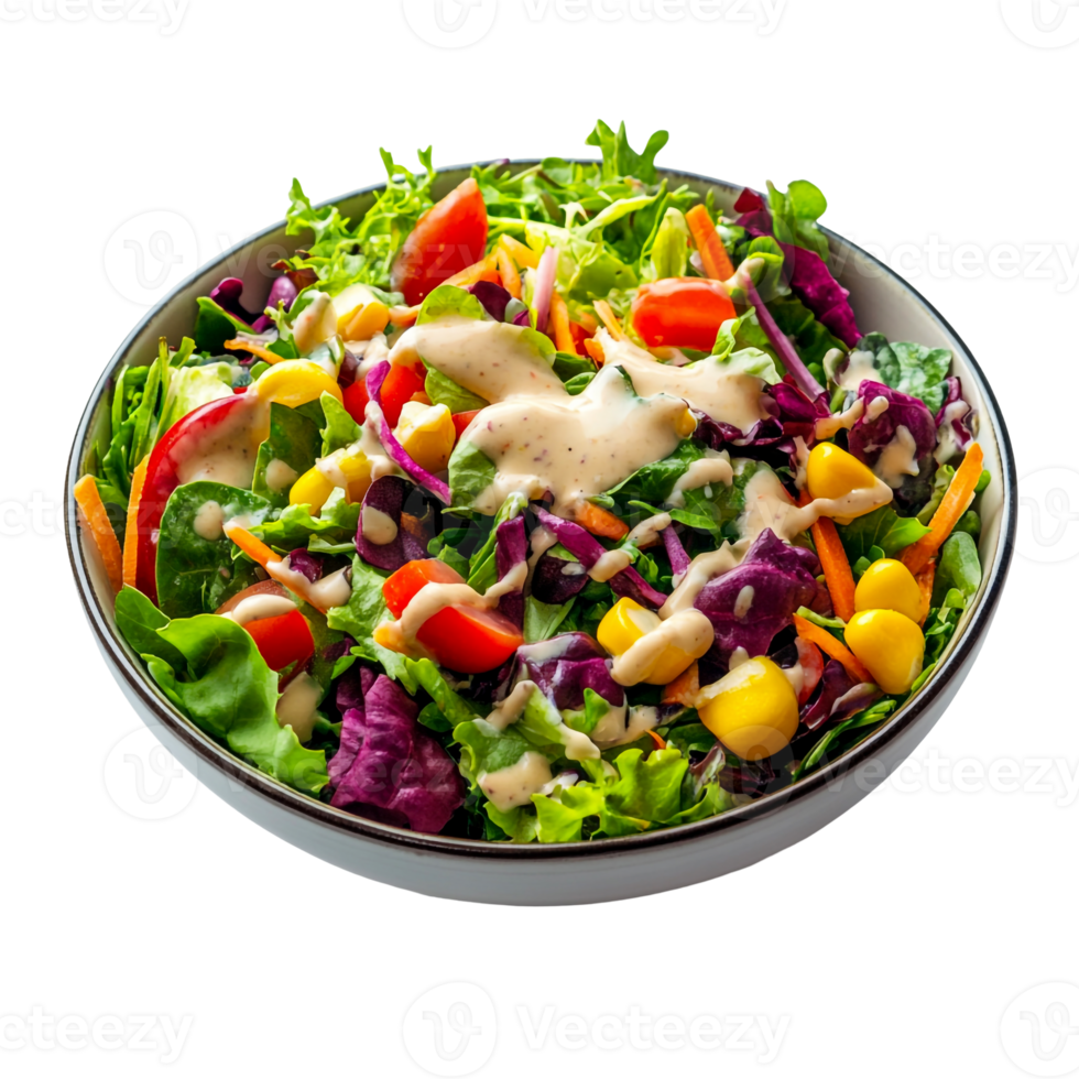 Tasty Salad with Crisp Vegetables and Dressing png