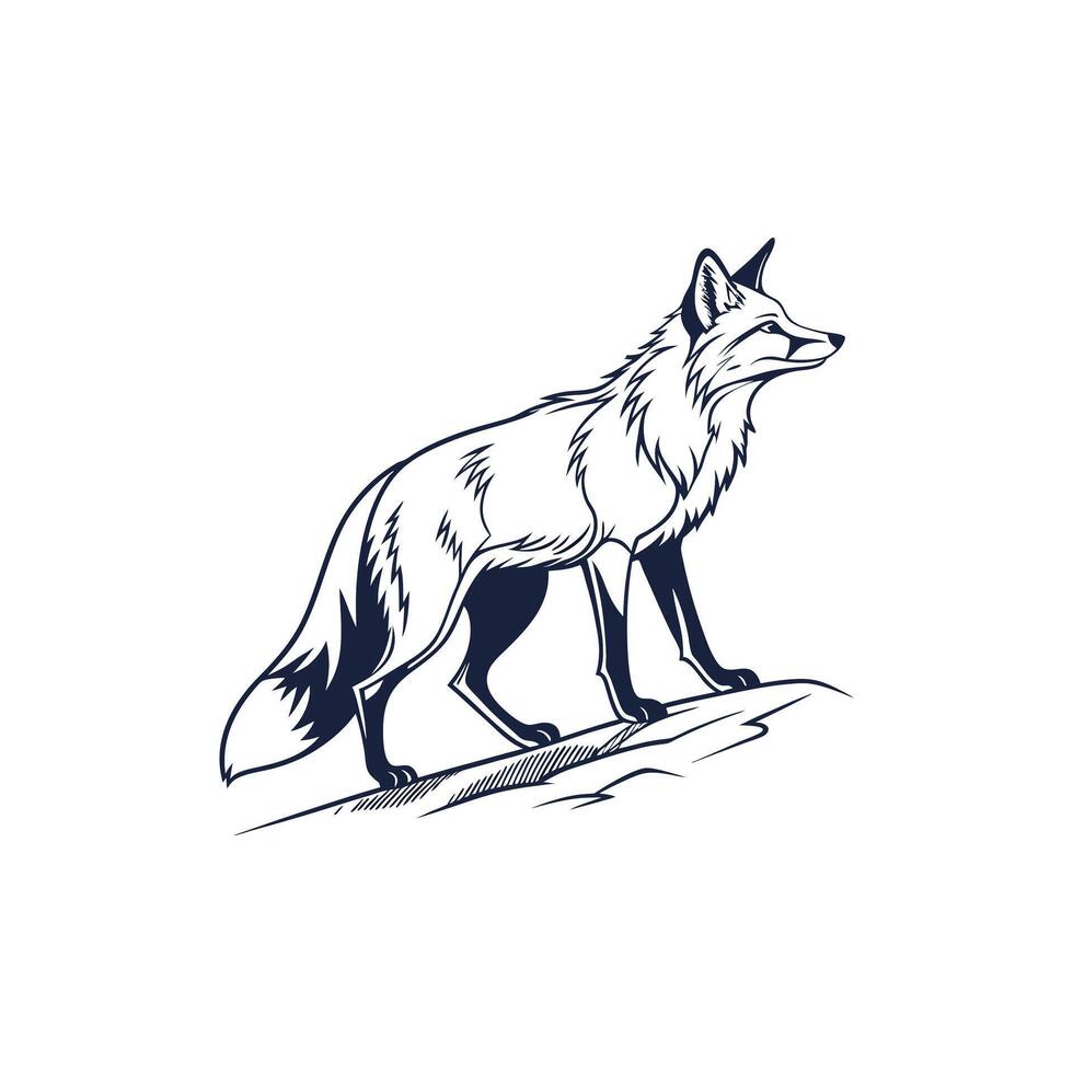 A fox standing on a hill, with a white background vector