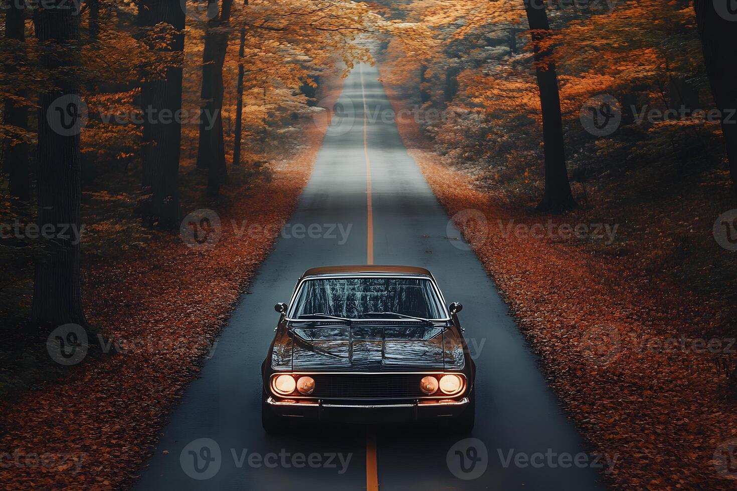 A classic car cruises down a misty road bathed in the golden hues of fall foliage. The scene evokes a sense of adventure and nostalgia, inviting viewers to imagine the journey ahead photo