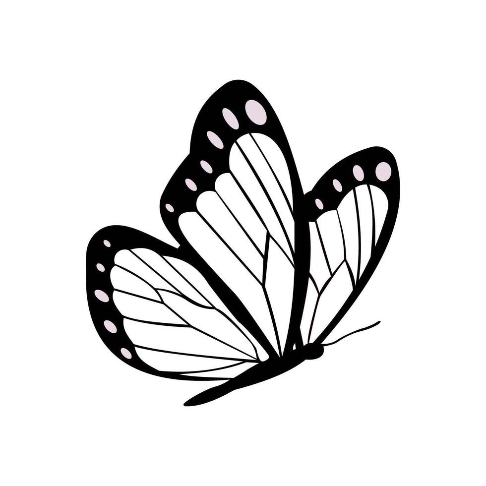 realistic butterfly illustration design vector