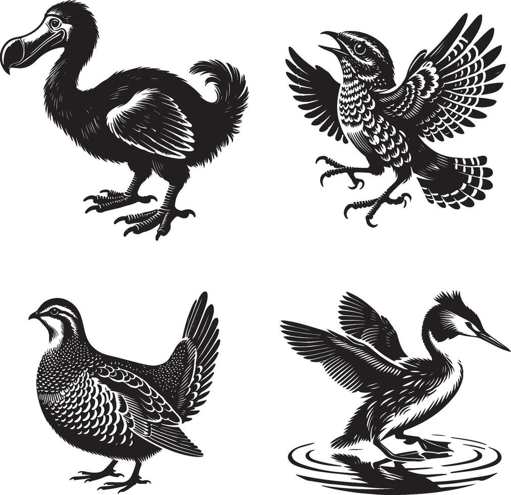 dodo, grebe, nightjar, and partridge bird vector
