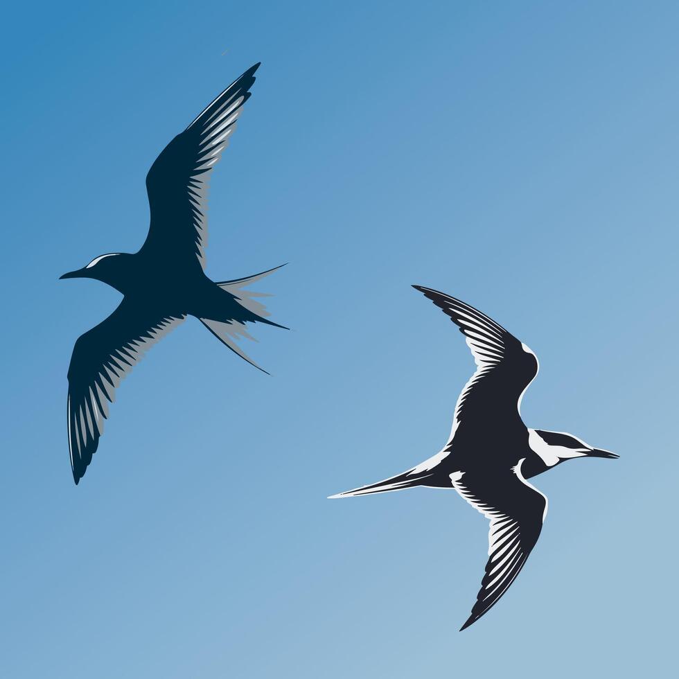 arctic tern birds flying vector