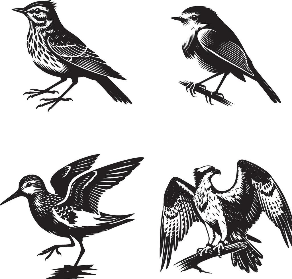 lark bird, ospreys, sandpiper, robin bird set silhouette vector