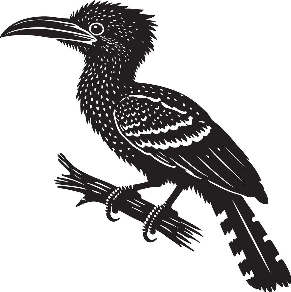 potoo bird silhouette vector