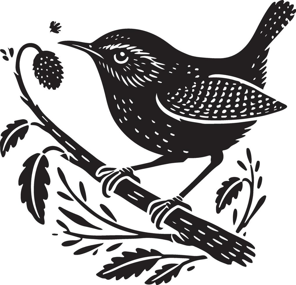 Wren bird silhouette vector