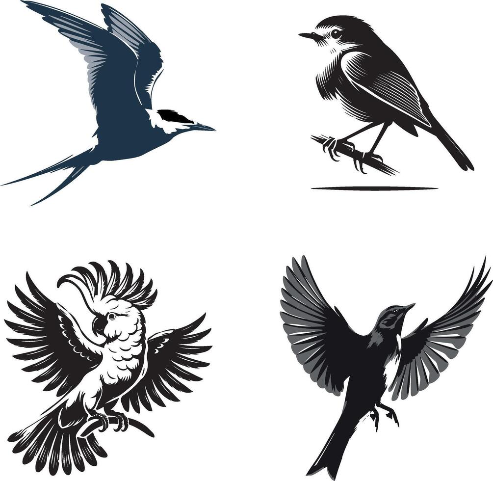 skylark, Arctic tern, robin, cockatoo bird silhouette vector