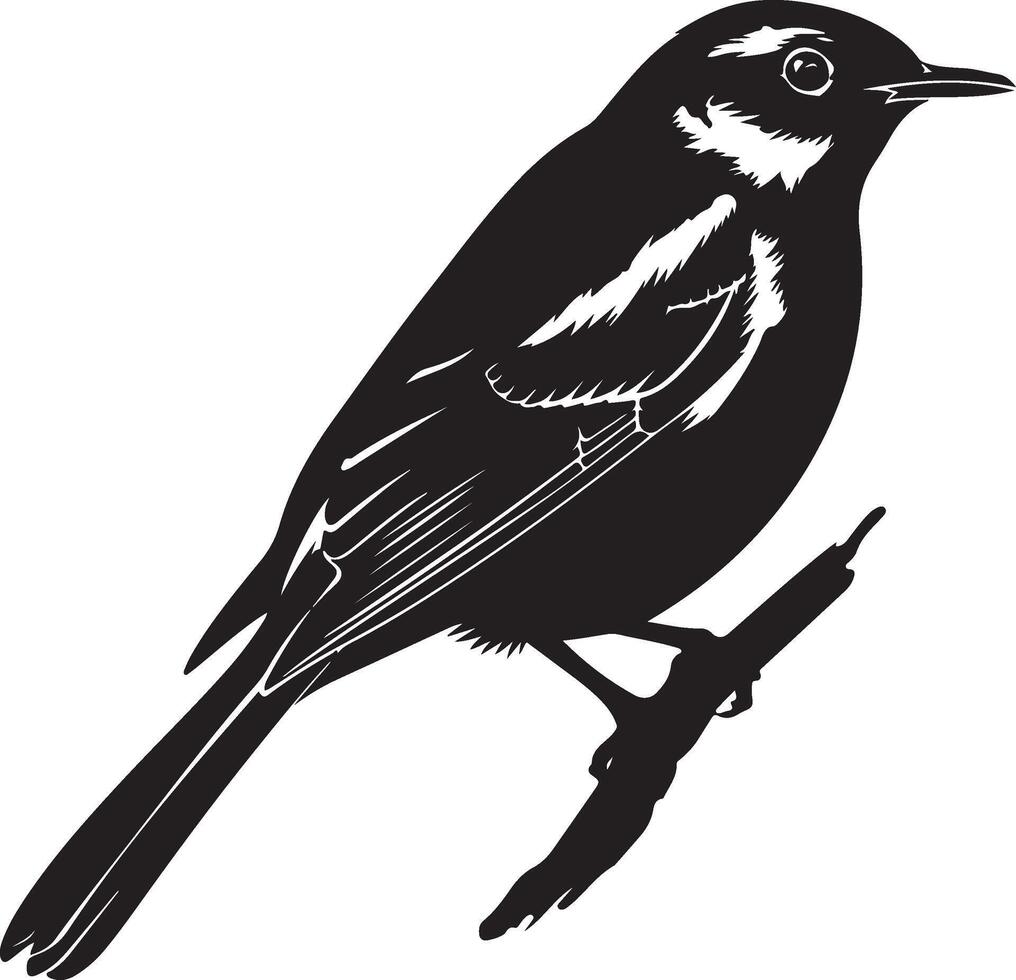 Nightingale bird silhouette vector