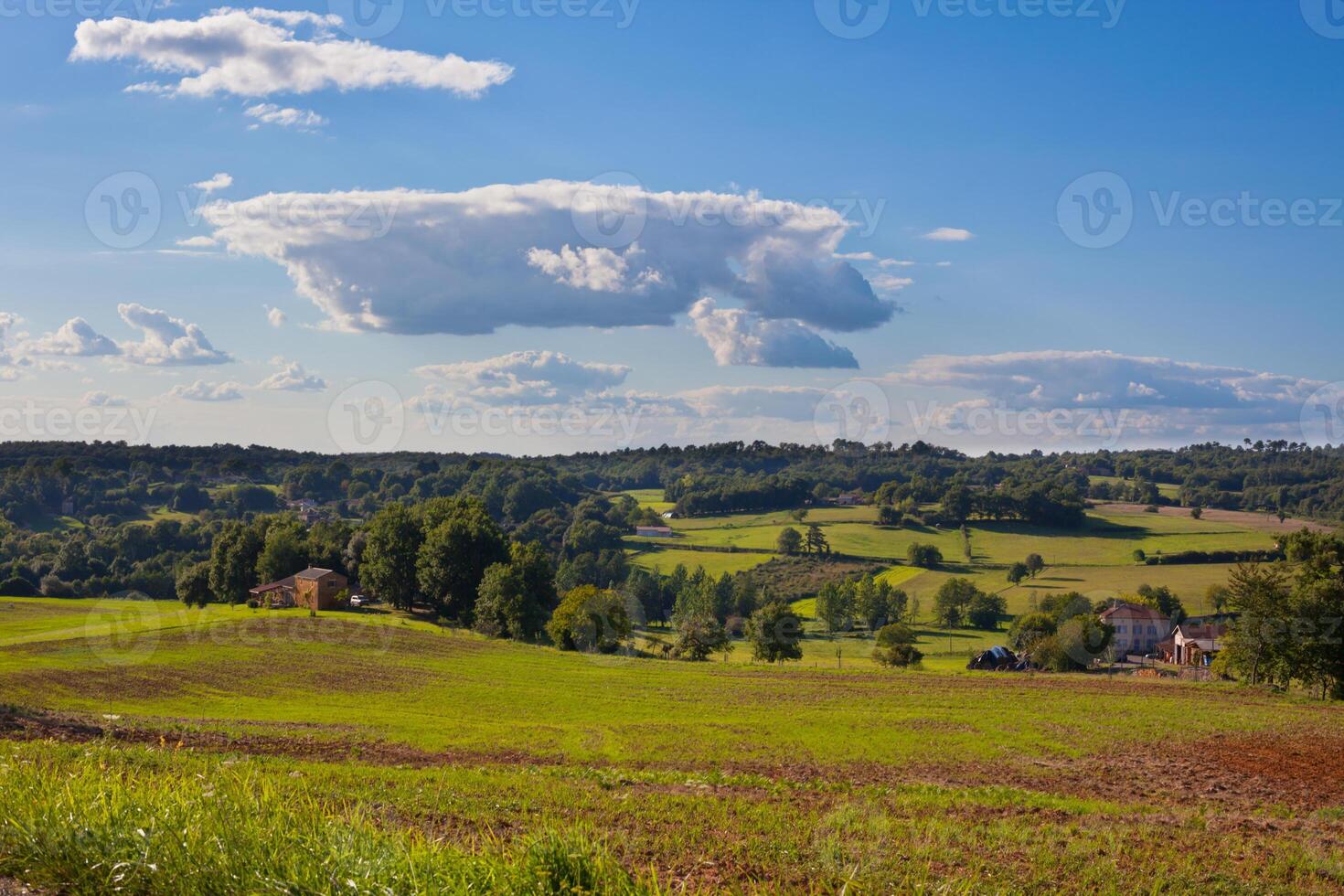 Rural landscape with a Farm and a fileld photo