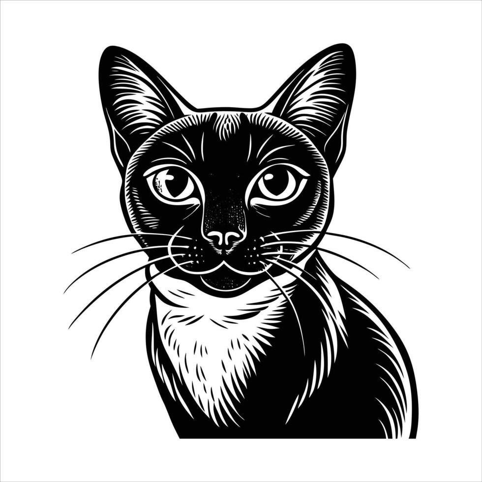 Playful Abyssinian Cat Portrait vector