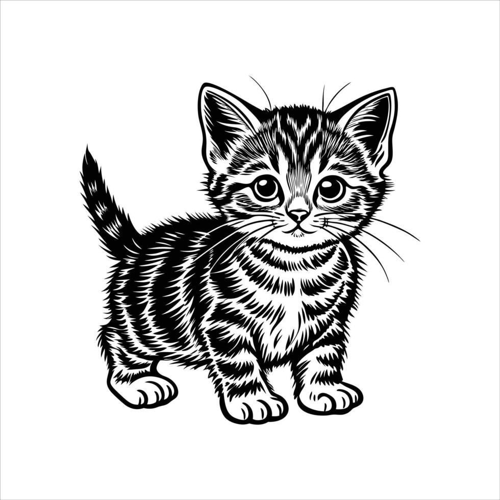Cute Bambino Cat Playful Design vector