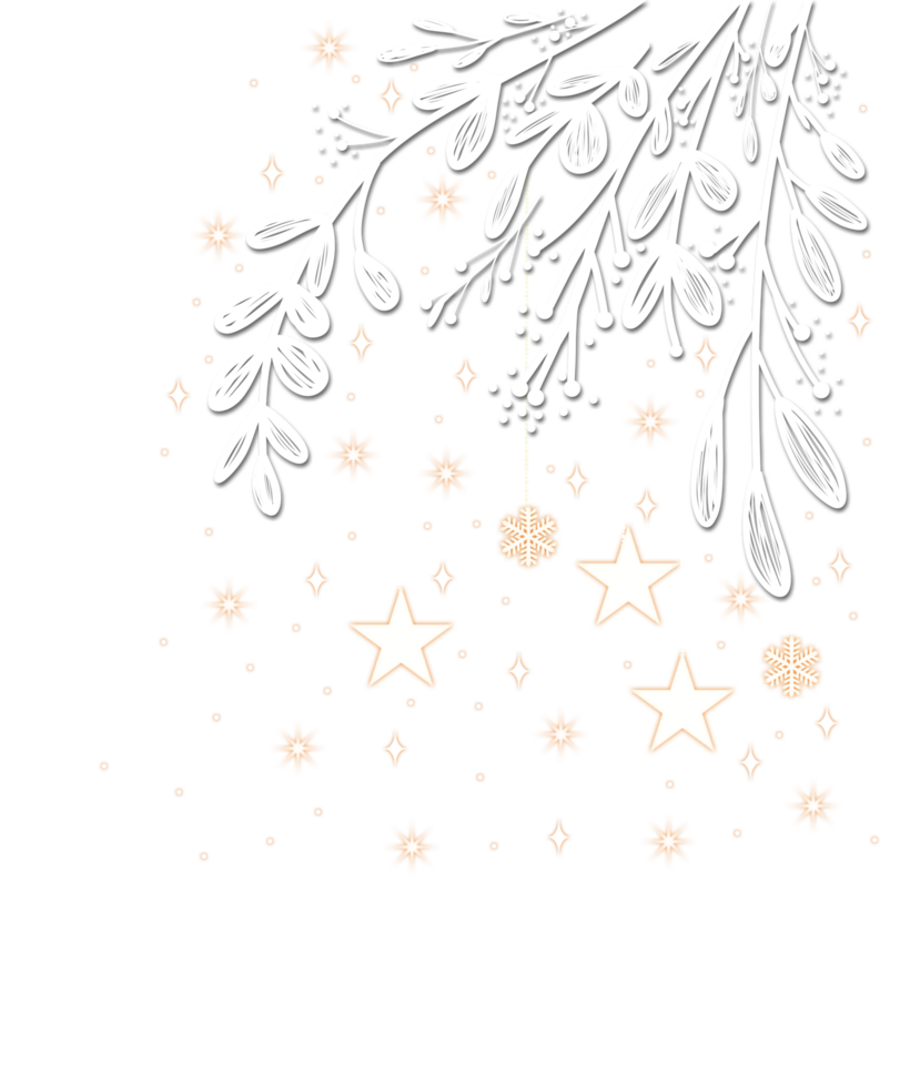 Christmas tree with stars and branches png