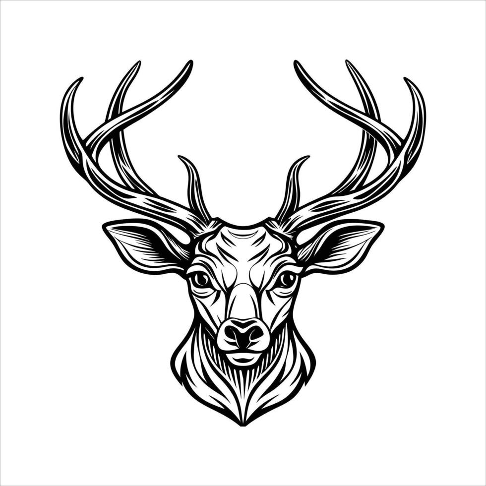 Deer Head With face vector