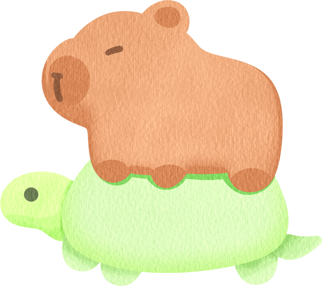 Riding a turtle png