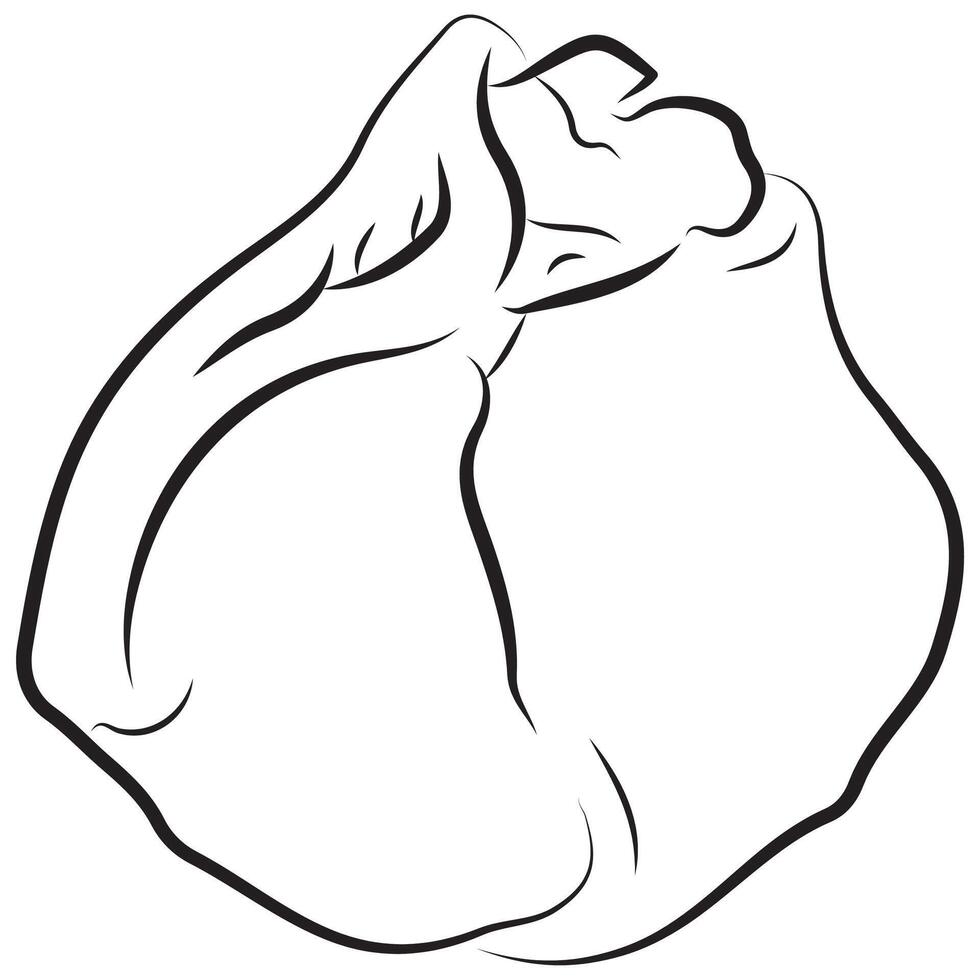 food logo, namely a round khinkali with various fillings drawn with original contours in the style of line art vector