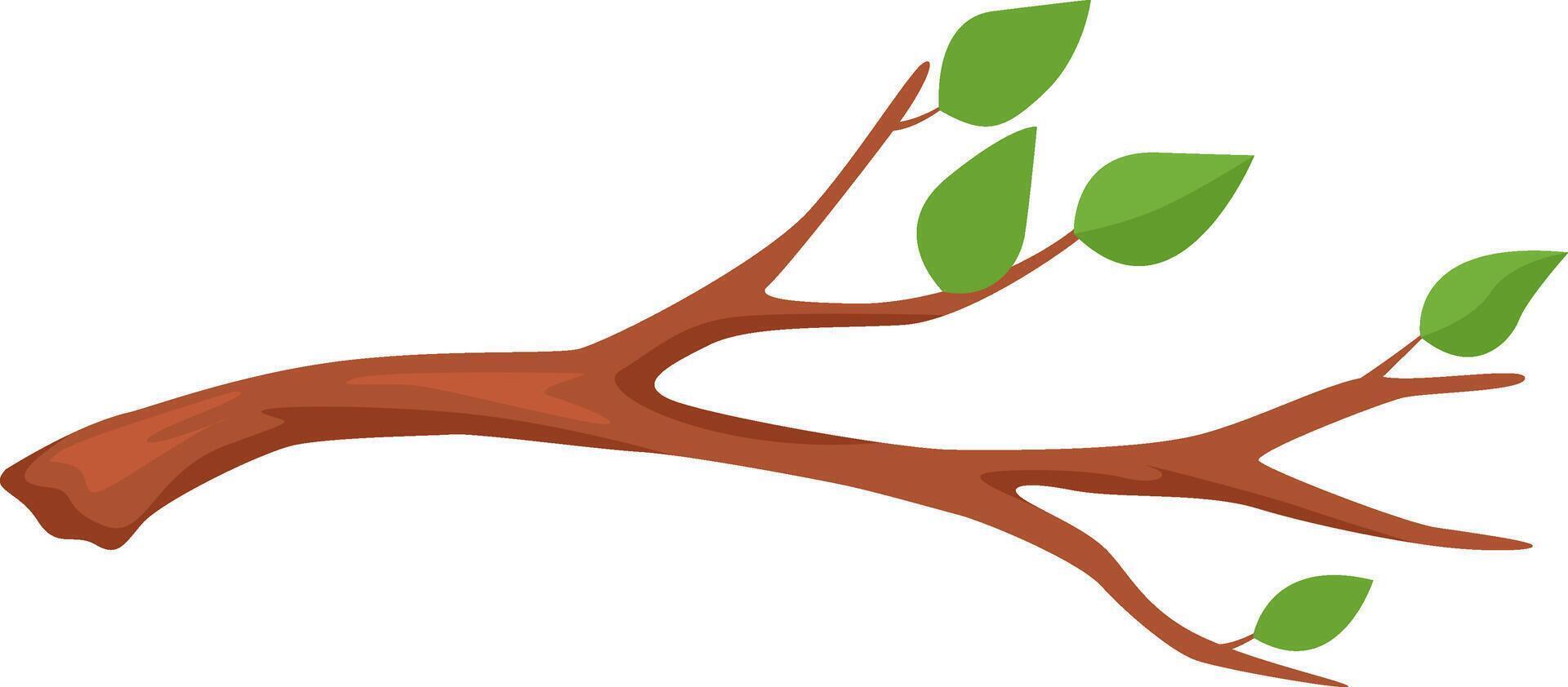 Simple illustration of a brown tree branch with green leaves growing, isolated on a white background, perfect for educational or nature themed projects vector
