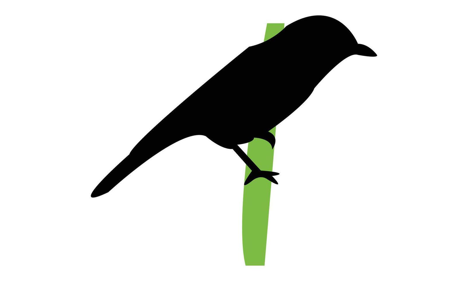 Slaty Flycatcher Bird Silhouette Design vector