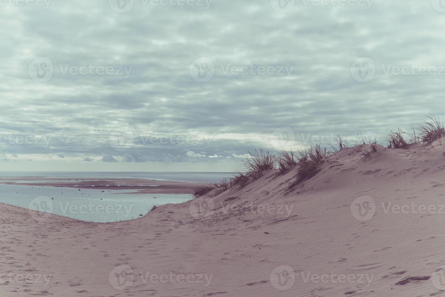 View of The Arcachon Bay and The Duna of Pyla, France photo
