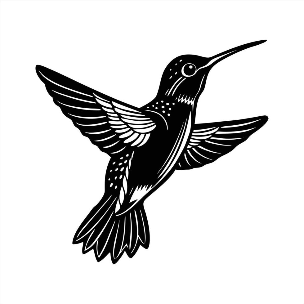 Brown violetear eps vector