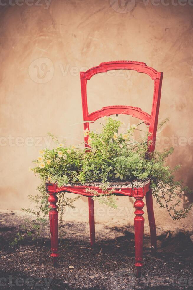 Flowerbed in a chair as home decoration in rustic style photo