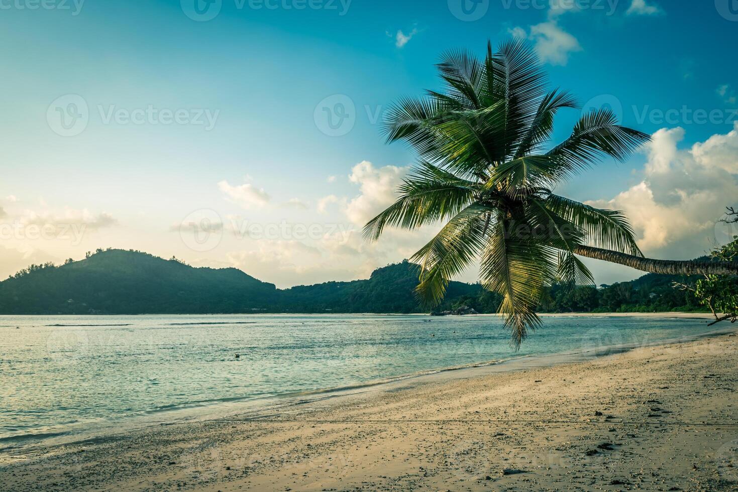 Tropical beach at Mahe island Seychelles photo