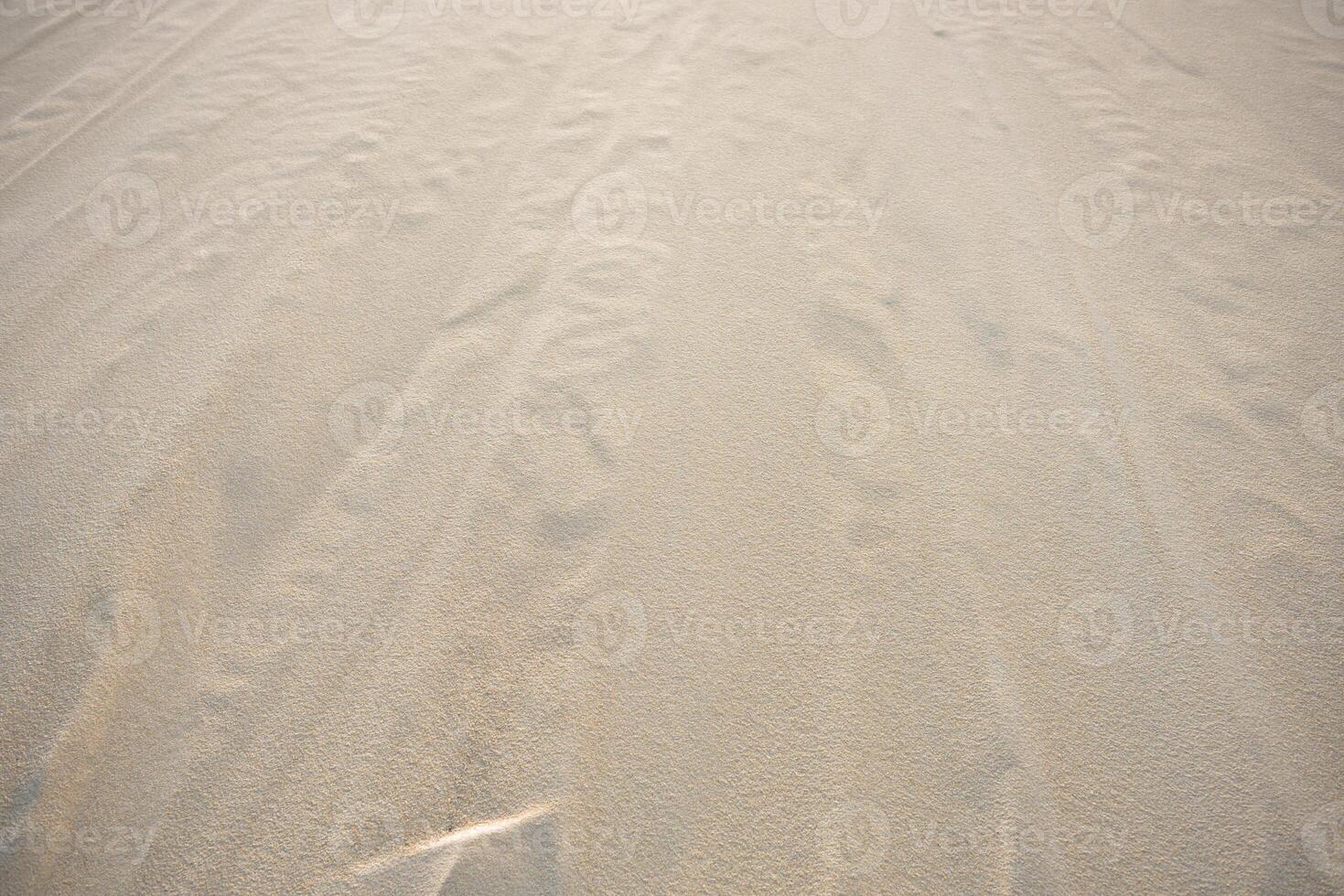 The dune of Pyla, Europe's highest dune photo