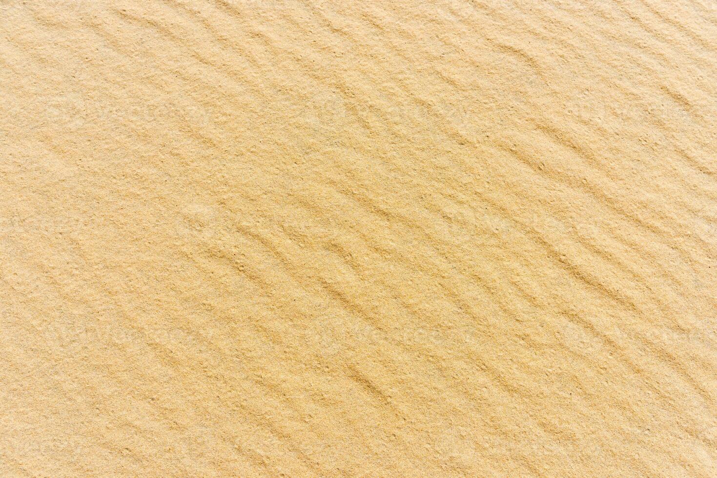 Top view of a sand sea bottom photo