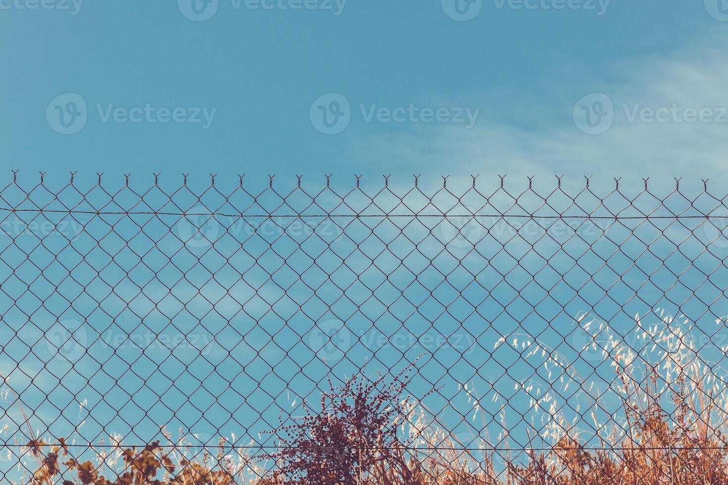 Razor and barbed wire fence photo