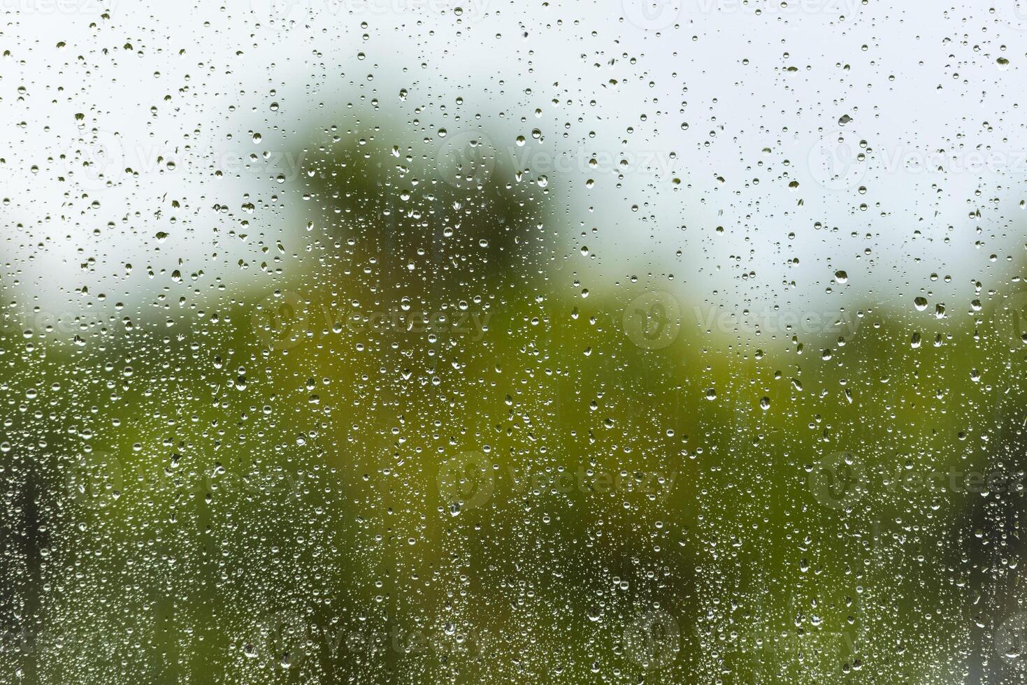 Rain water drops on a window glass photo