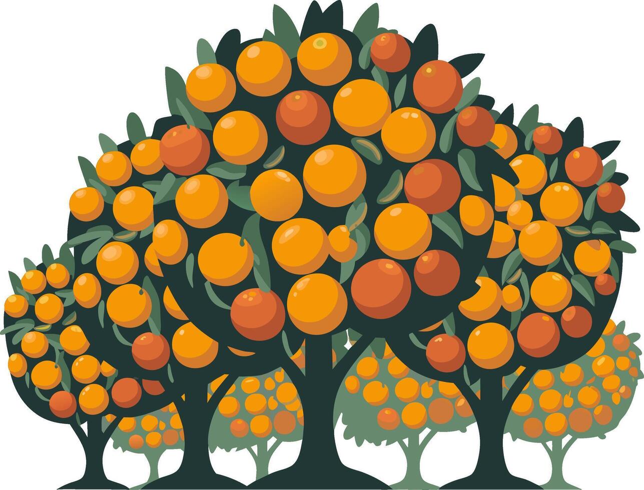 Vibrant Orange Grove Illustration for Agriculture and Nature Themes vector