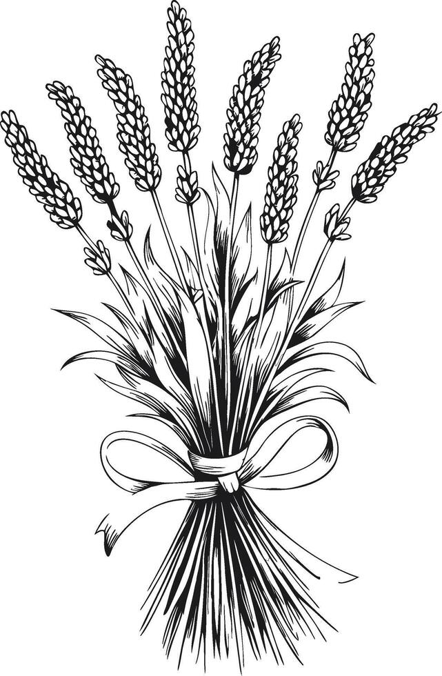 Elegant Botanical Artwork of Lavender Bouquet Illustration vector