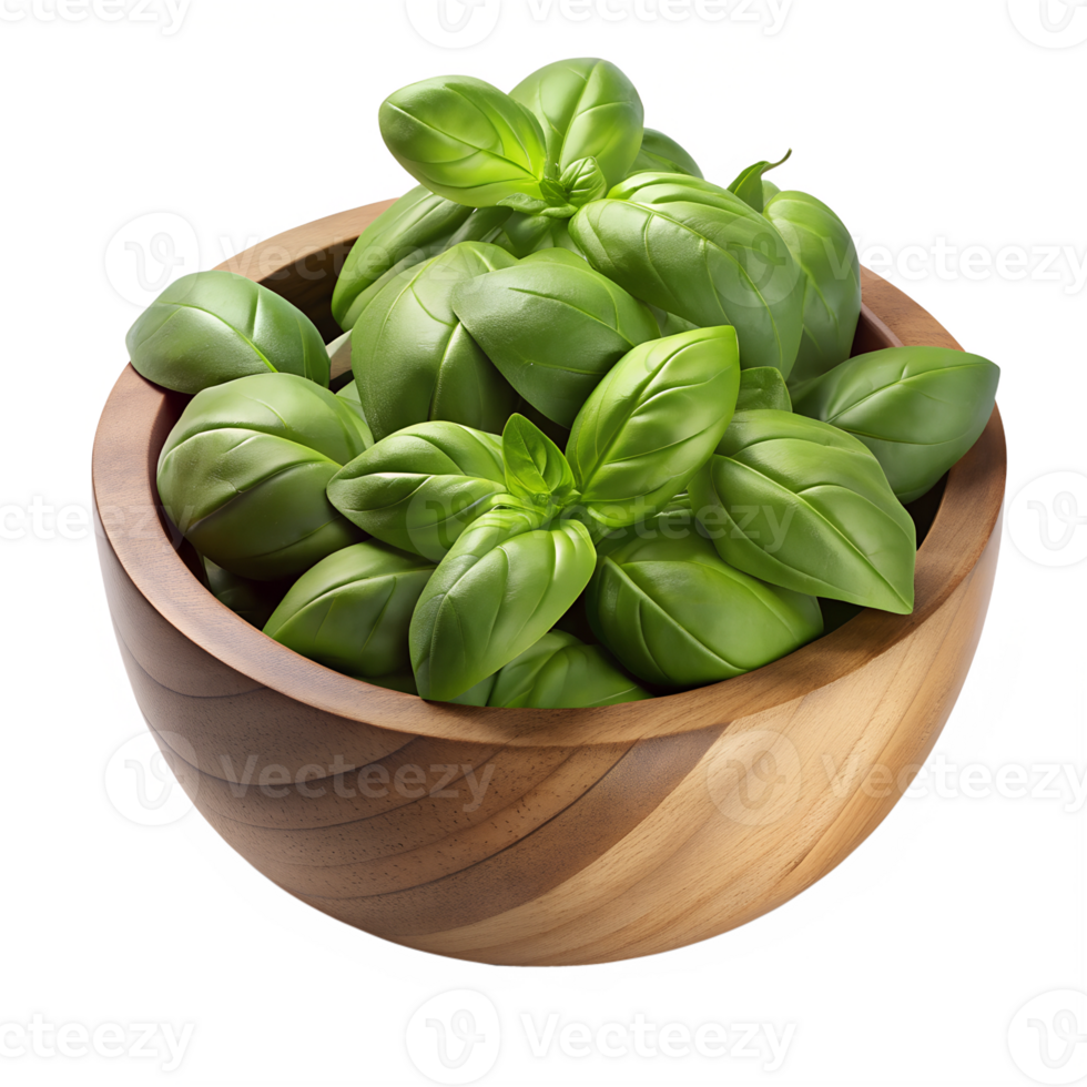 Fresh basil leaves with fine water droplets png