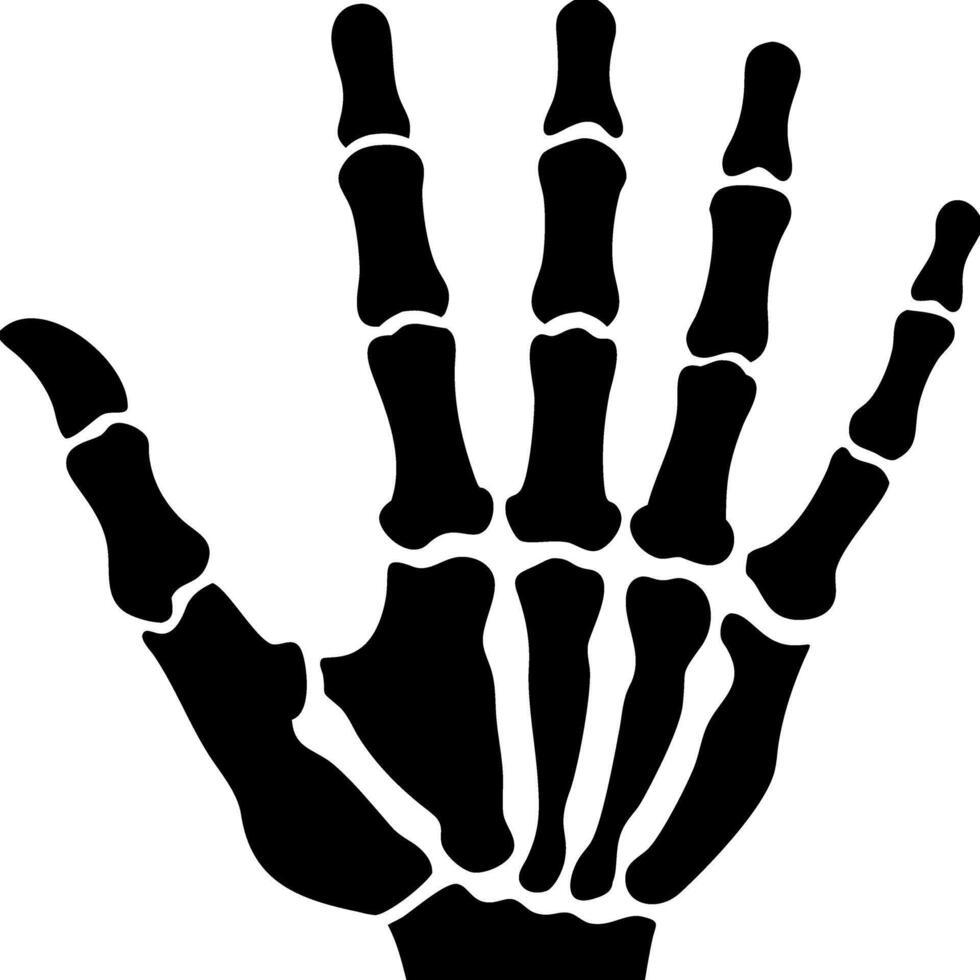 Illustration Human Hand Skeleton Bones Anatomy Design vector