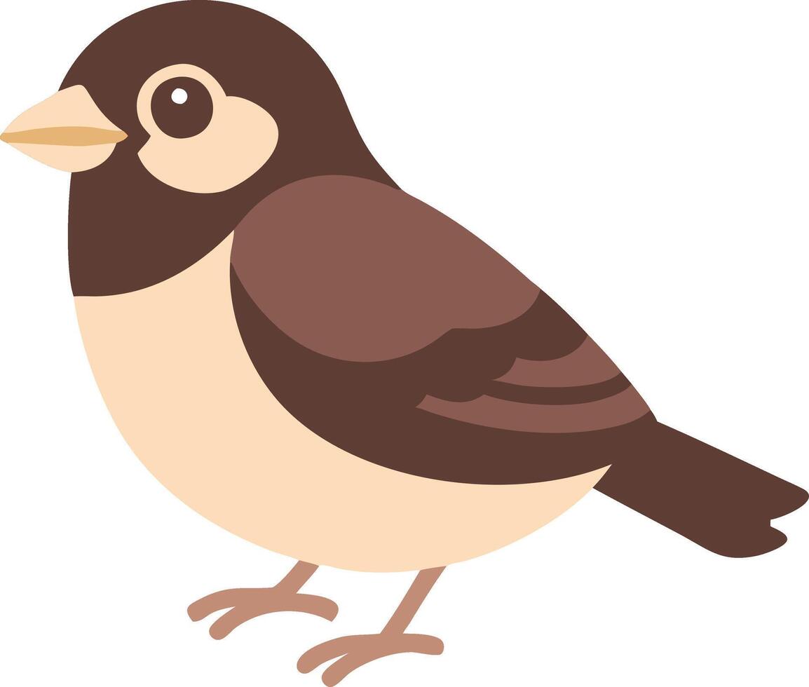 Cute Brown Sparrow Illustration for Nature and Wildlife Design Projects vector