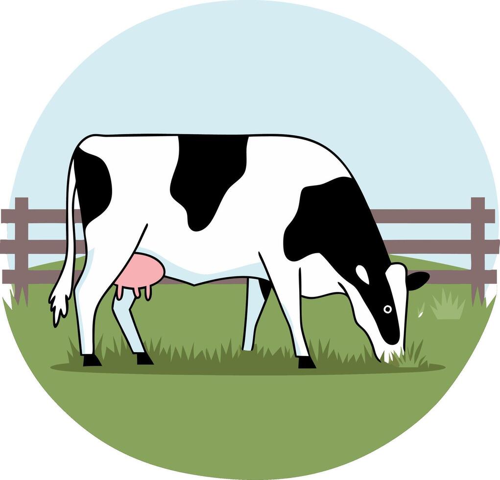 Holstein Cow Grazing in Pasture Illustration for Agriculture and Farming Concepts vector