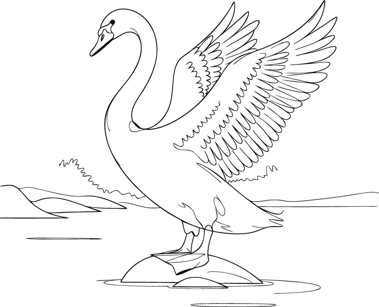 Graceful Swan Spreading Wings Illustration on Lake vector