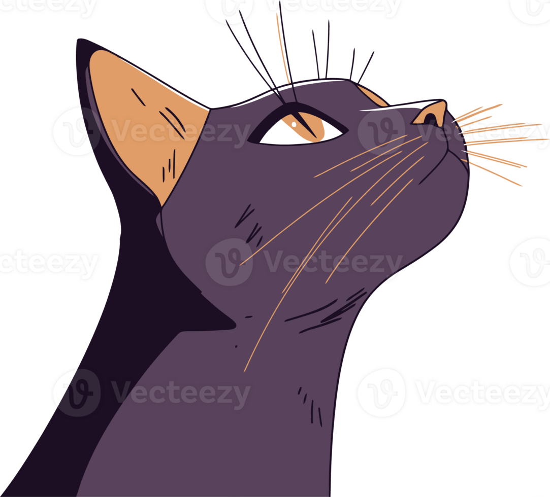 Illustrated Black Cat Profile with Alert Expression and Detailed Features png
