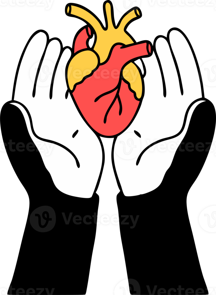 Illustration hands holding a human heart png