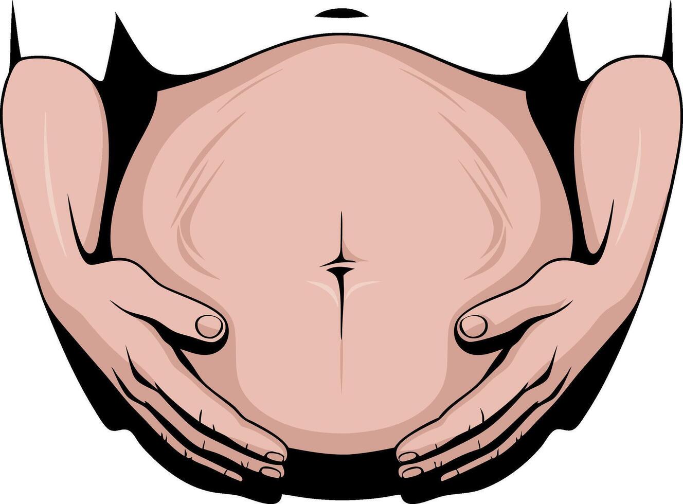 Pregnant Belly with Supporting Hands Illustration for Maternity and Pregnancy Themes vector