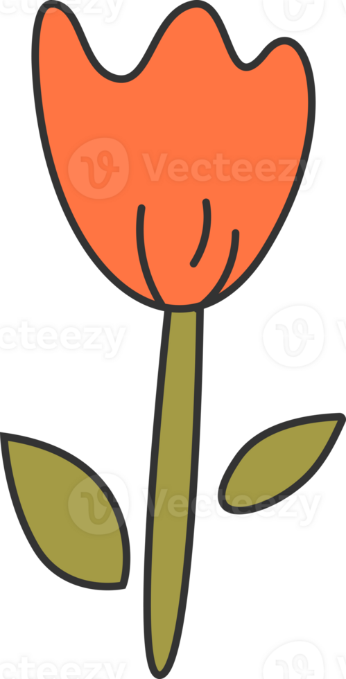 Groovy Lily Flower png