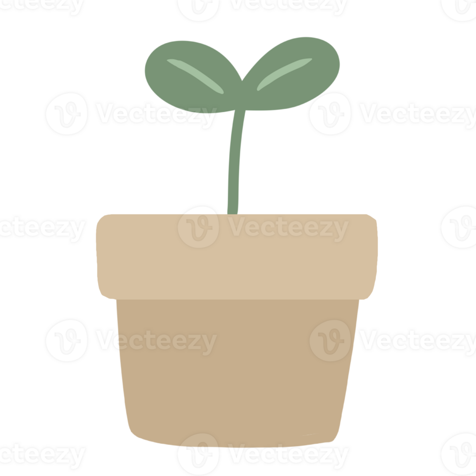 plant in a pot icon on transparent background png