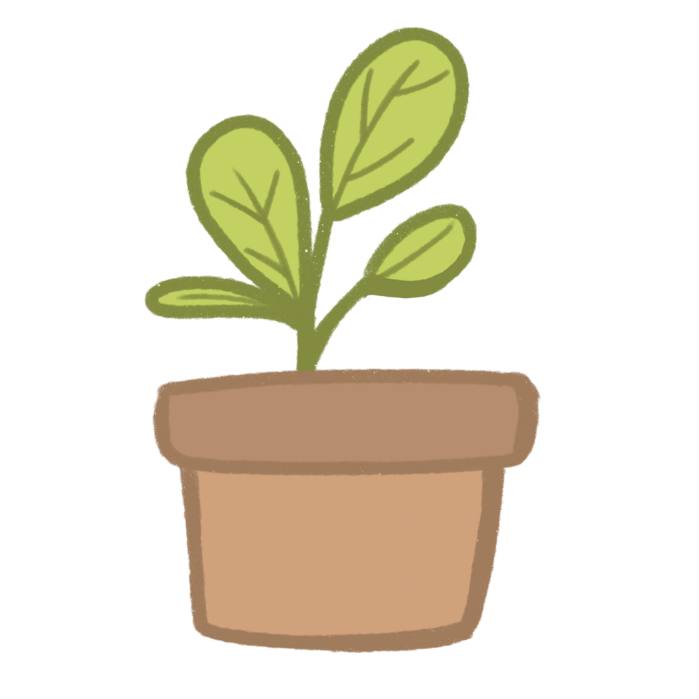 plant in a pot clipart png