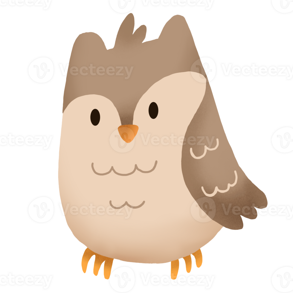 an owl cartoon character on transparent background png