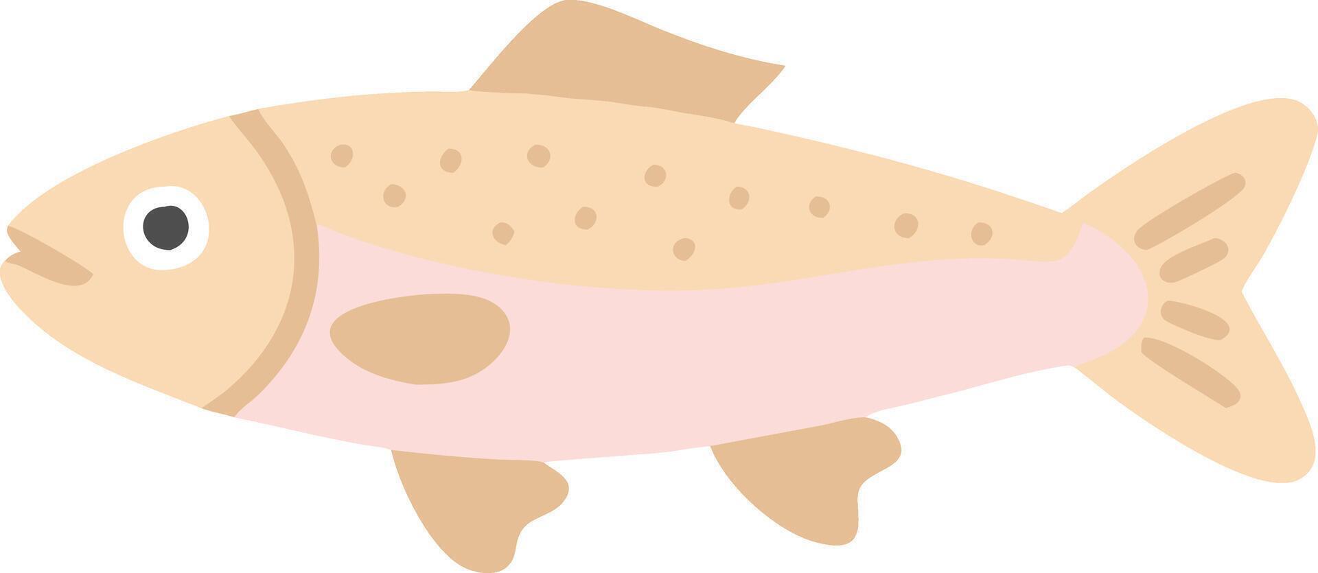 Colorful Trout Fish Illustration for Educational and Decorative Use vector