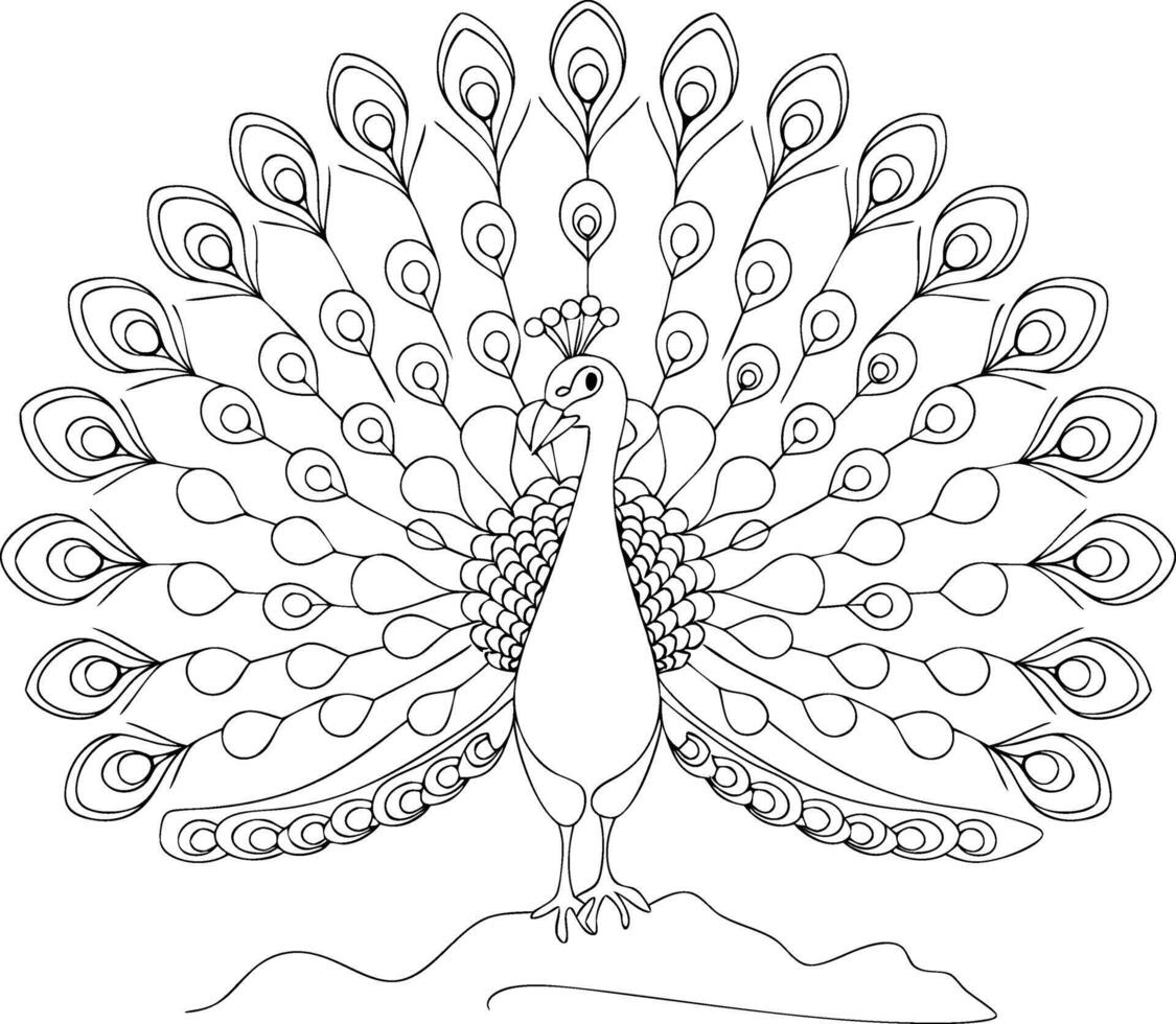 Elegant Peacock Line Art Illustration with Detailed Feathers vector