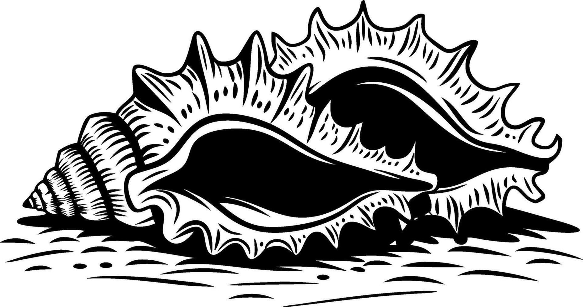 Detailed Illustration of Decorative Seashell in Black and White Art Design vector