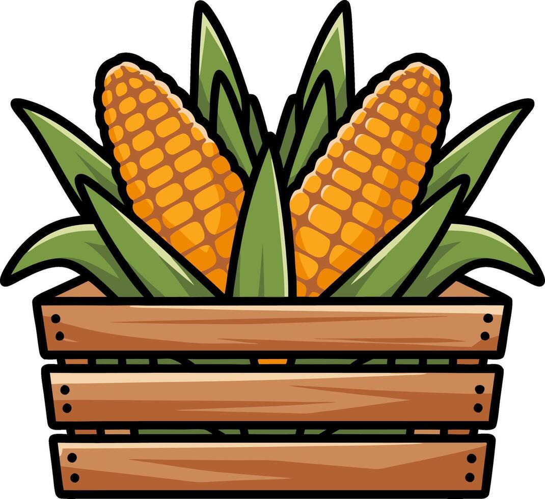 Fresh Corn Cobs in Wooden Crate Illustration for Agriculture Themes vector
