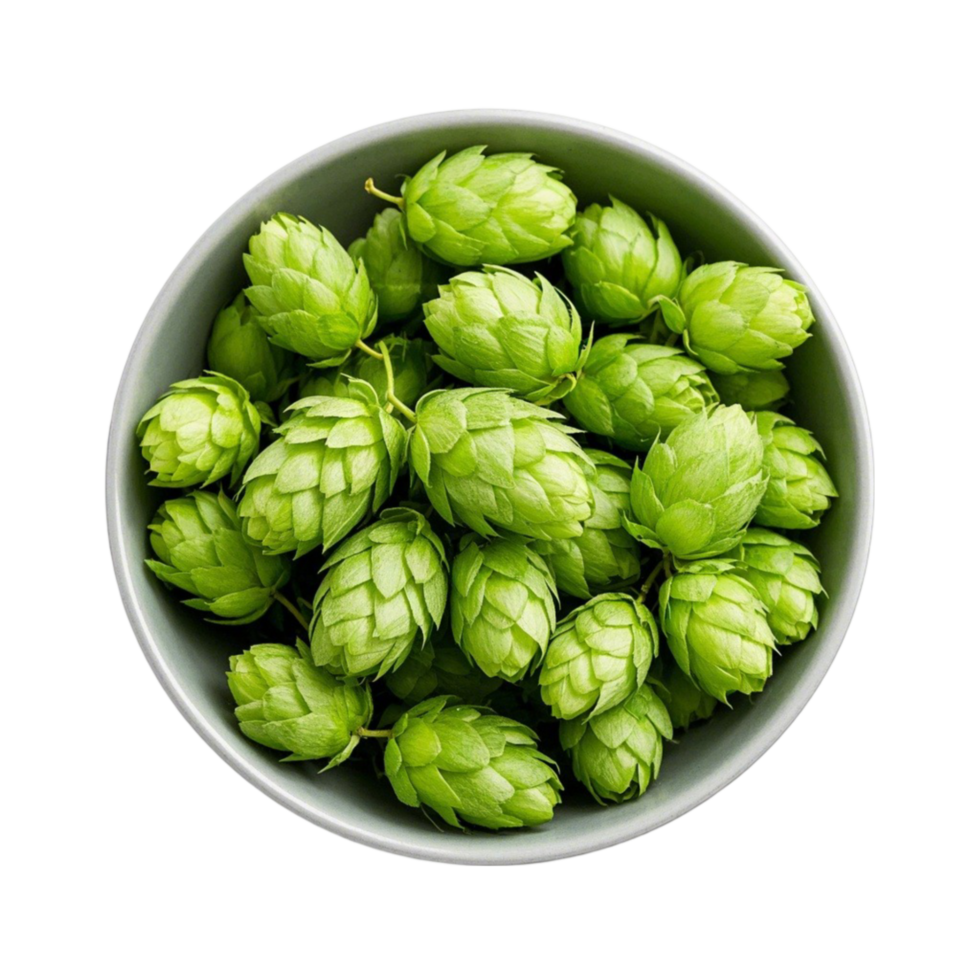 Fresh Brussels Sprouts png