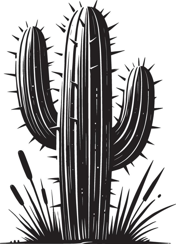Decorative big cactus shadow design on a crisp white canvas vector